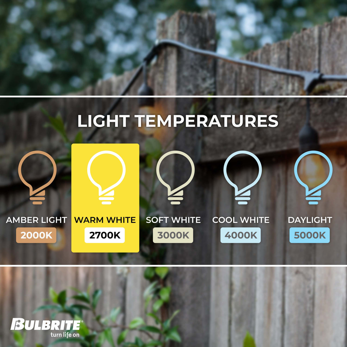 Bulbrite 30-Foot String Light Kit with Clear Shatter Resistant Vintage Style S14 LED Light Bulbs