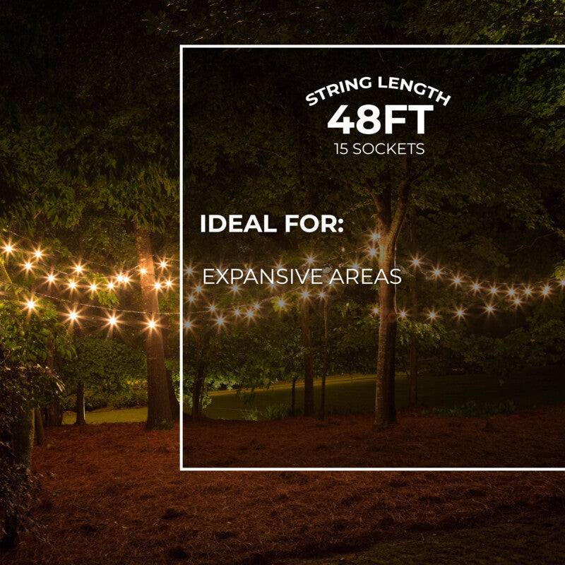 Bulbrite 48-Foot String Light Kit with Clear Vintage Style S14 Incandescent Light Bulbs, Black Finish