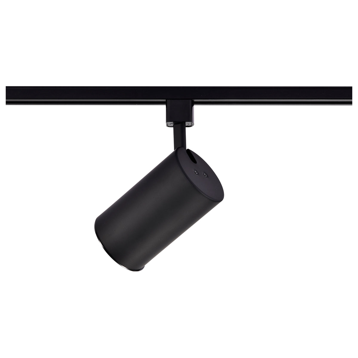 1 Light - R20 - Track Head - Straight Cylinder - Black Finish - H-Style