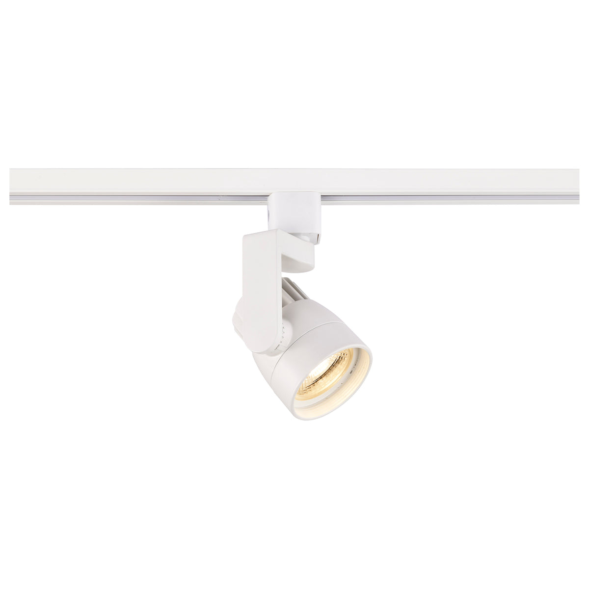 1 Light - LED - 12W Track Head - Angle Arm - White - 36 Deg. Beam - H-Style