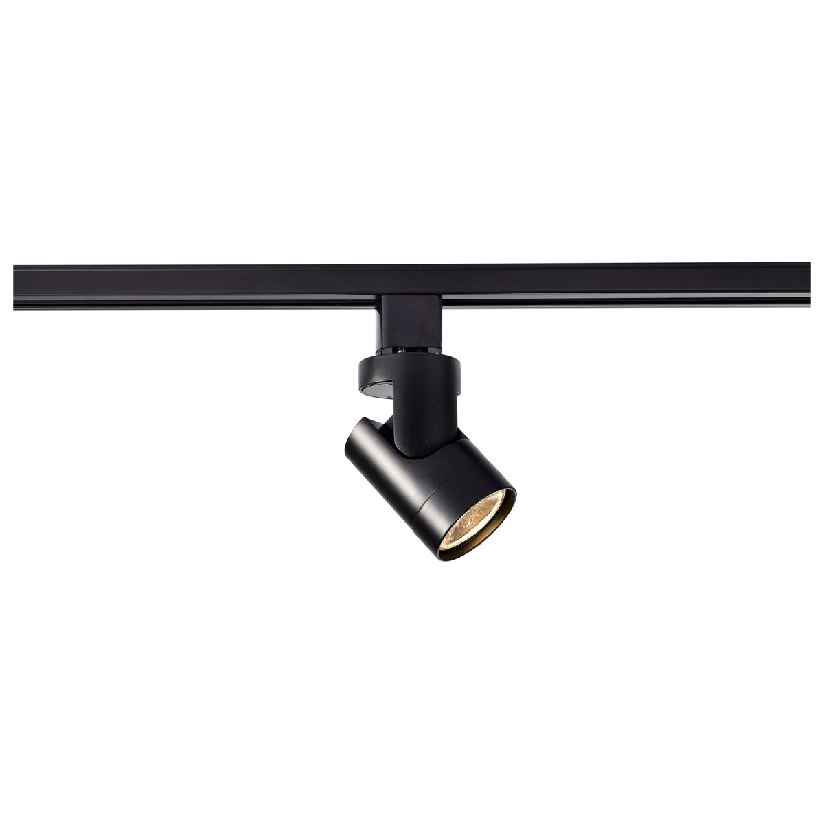 1 Light - LED - 12W Track Head - Barrel - Black - 24 Deg. Beam - H-Style