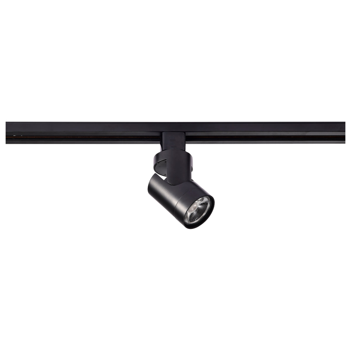 1 Light - LED - 12W Track Head - Barrel - Black - 24 Deg. Beam - H-Style