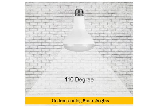BR30 LED Flood Reflector - Performance Series