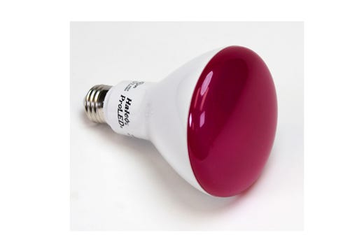 LED BR30 Flood 8W Pink Dimmable Medium E26 120V - Lumen - - 80CRI lighting product image