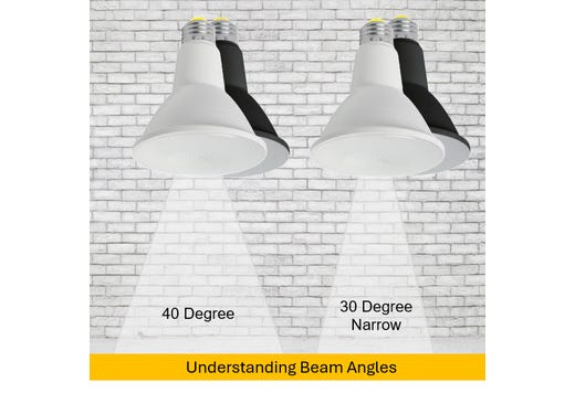 LED PAR30L Flood 11W 5000K 40Deg Dimmable 90+ CRI 1000 Lumen White Housing T20 (Performance Series)