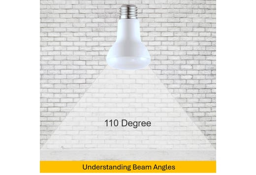 R20-BR20 LED Flood Reflector - Essential Series