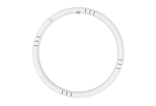LED Circline 12in T9 16W Hybrid Type A/B 35K-40K-50K-65K CCT Selectable 2000 Lumens 35K Hrs G10q Base Non-Dimmable