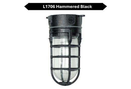 Outdoor Ceiling Mount Incandescent or LED Ready Vaportight