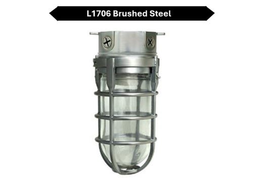 Outdoor Ceiling Mount Incandescent or LED Ready Vaportight lighting product image