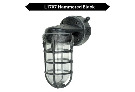 Outdoor Wall Mount Incandescent or LED Ready Vaportight