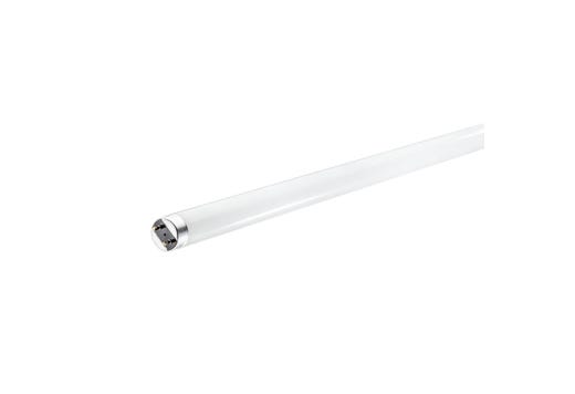 LED Linear Type A-Direct - 1950 Lms/2000 Lms - Frosted LED product
