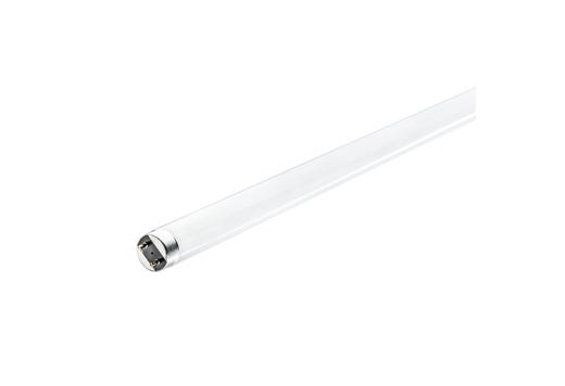 LED Linear Type A-Direct - 1950 Lms/2000 Lms - Frosted