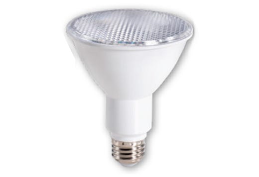LED PAR30 Long Neck Flood product image