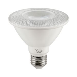 Kinematica Stuwkracht Op tijd Shop LED PAR30SN Bulbs for Sale Online | Buy LED Online