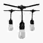 SATCO S8020 24FT/LED/STRING LIGHT/120V; 24FT; LED String Light; Includes 12-Light Filament LED bulbs; With Plug