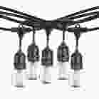 Bulbrite 862819 STRING12L/30FT/30IN/E26/BLACK/LED/S14-2PK 30-foot String Light Kit with Clear Shatter Resistant Vintage Style S14 LED Light Bulbs