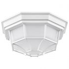 NUVO 62/1399 LED Spider Cage Fixture; White Finish with Frosted Glass