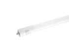 Maxlite (109133) L38T8DEFA850-CG  38W 8FT LED DOUBLE ENDED BYPASS T8 FA8 5000K COATED GLASS (UL TYPE-B)