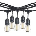 Bulbrite 812313 STRING12L/30FT/30IN/E26/BLACK/LED/S14 30-foot String Light Kit with Clear Shatter Resistant Vintage Style S14 LED Light Bulbs