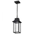 NUVO 62-5996 (AUSTEN 1LT OUTDOOR HANGING) Austen Collection - 1 Light Outdoor Hanging Fixture - LED - SMART - Starfish RGBTW - CCT Selectable - Matte Black - Clear Water Glass
