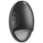 NUVO 65-881 Oval Small Emergency Wall Pack - LED - CCT Selectable - Photocell - Black Finish