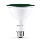 Bulbrite 861909 (LED15PAR38/FL/GRN/D-2PK) 15W LED PAR38 GREEN FLOOD WET DIMMABLE 2PK