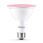 Bulbrite 861910 (LED15PAR38/FL/PNK/D-2PK) 15W LED PAR38 PINK FLOOD WET DIMMABLE
