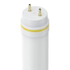 Halco 87202 48T8HE-10-850-DSE-BYP-LED  48 Inch LED T8 High Efficiency 10.5W 5000K Double Single Ended Type B Line Connect Led