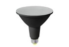 Halco 80259 14PAR38-FL-LED-950-D-BLK-PS  14 Watt LED PAR38 Flood (40D) Dimming 90+ CRI 5000K Black Housing T20 (Performance Series)