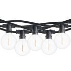 Bulbrite 862815 STRING10L/14FT/16IN/E12/BLACK/LED/G16-2PK 14-foot String Light Kit with Clear Shatter Resistant Globe G16 LED Light Bulbs