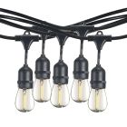 Bulbrite 862819 STRING12L/30FT/30IN/E26/BLACK/LED/S14-2PK 30-foot String Light Kit with Clear Shatter Resistant Vintage Style S14 LED Light Bulbs